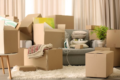 Inclusive Brompton removals website accessibility image